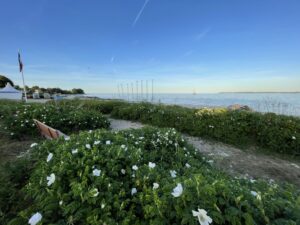 Segelschule Strand