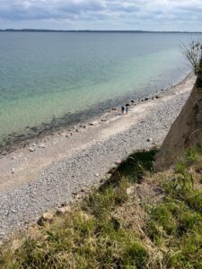 Strandläufer